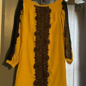 Women’s sophisticated silk dress